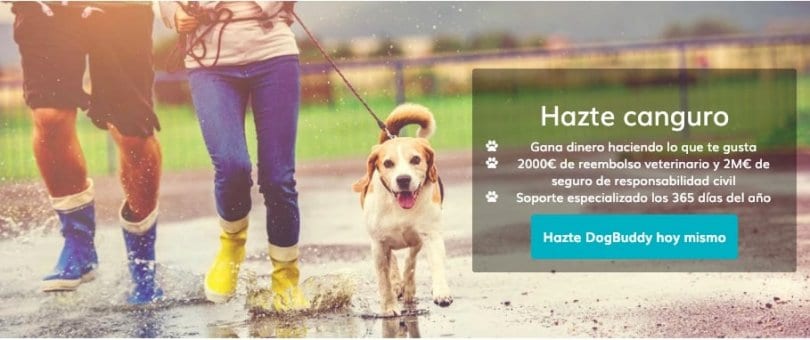 Cuanto Tarda Airbnb En Hacer Un Reembolso