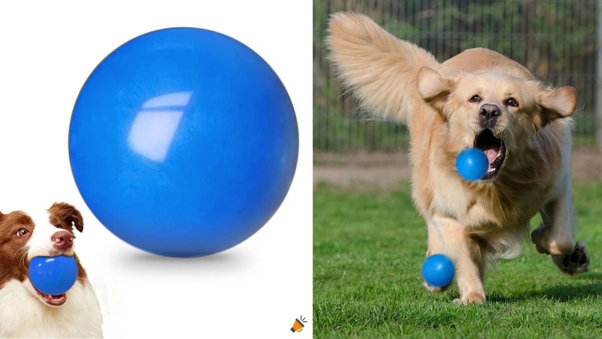 Pelotas indestructibles para perros por SOLO 9,99€